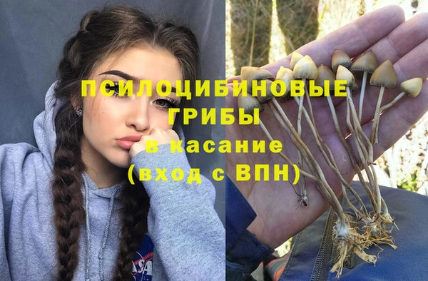 таблы Верхний Тагил