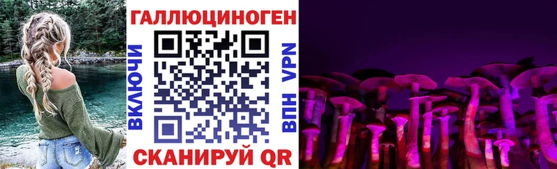 Купить закладки  Фокино  Галлюциногенные грибы Psilocybe 