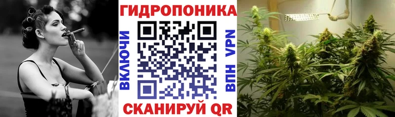 Купить закладки Фокино Канабис сатива